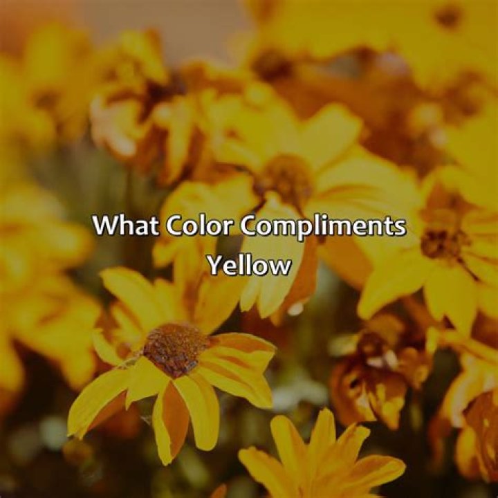 What yellow feels like? | ContextResponse.com