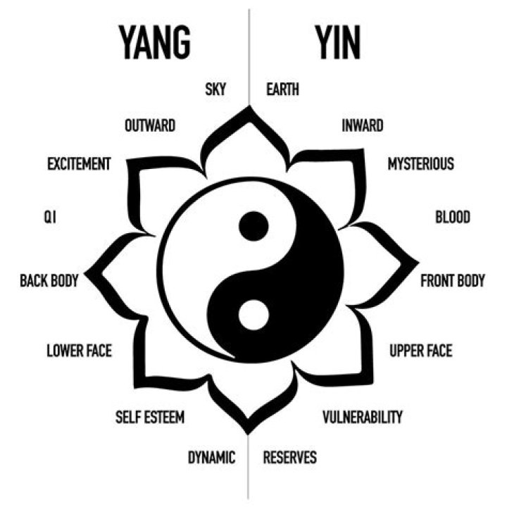 What Yin means? | ContextResponse.com