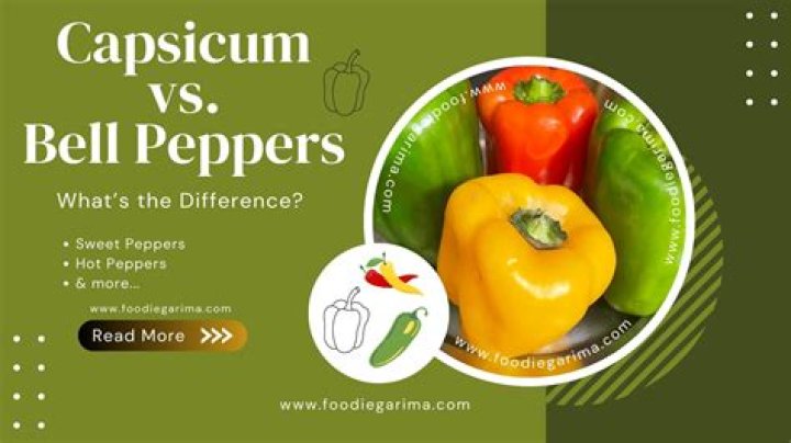 Whats the difference between bell peppers?