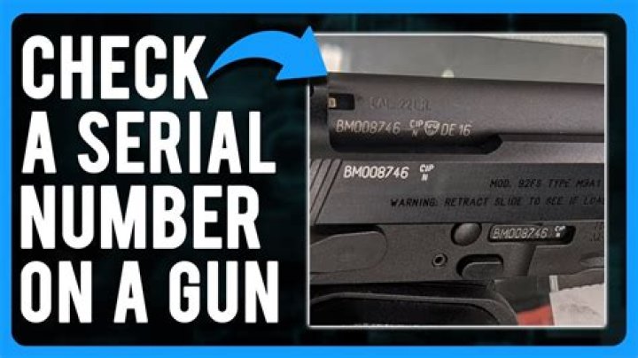 When did Guns get serial numbers?