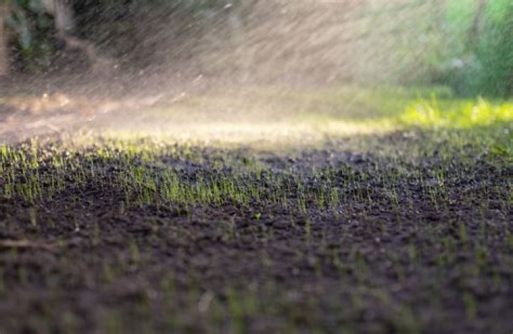 When should I stop watering new grass seed?