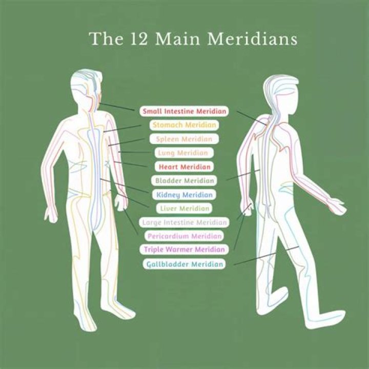 Where are the 12 meridians?
