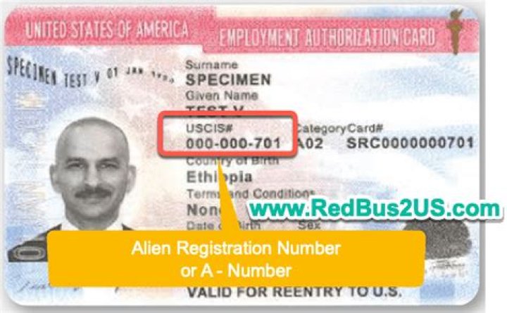 Where can I find my alien registration number?