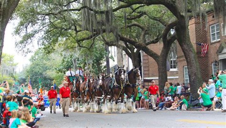 Where can I park in St Patrick's Day in Savannah?