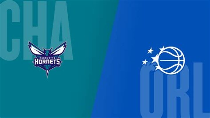 Where do the Hornets play?
