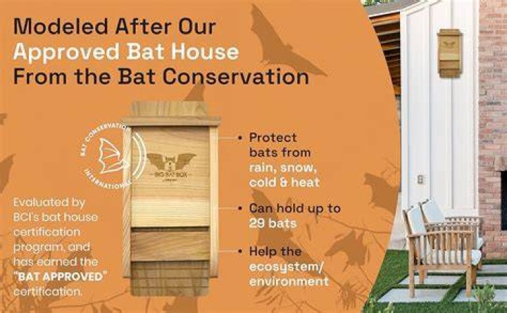 Where do you hang a bat house in Ontario?