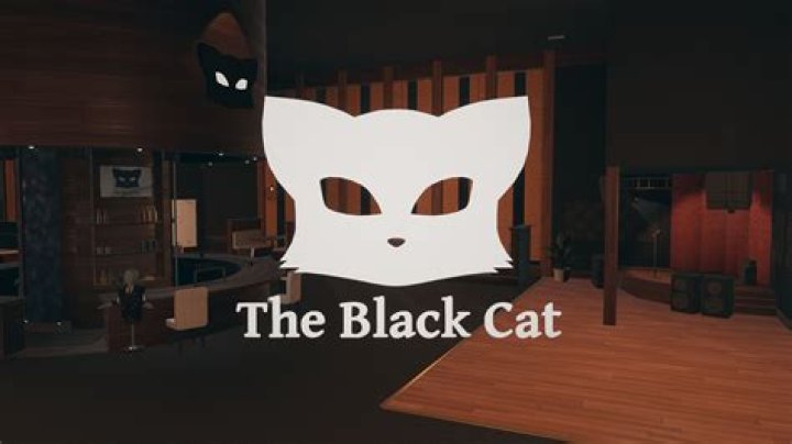 Where does the black cat take place?
