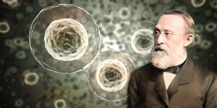 Where was Virchow born? | ContextResponse.com