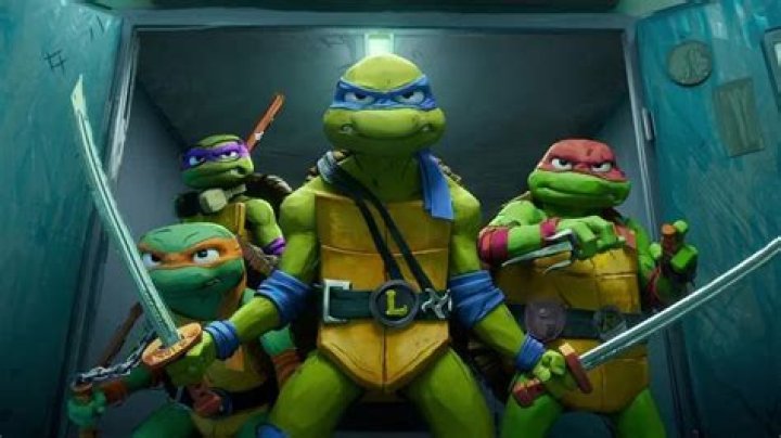 Which Ninja Turtle wore the blue mask?
