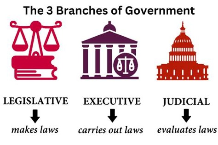 Which part of the government is responsible for passing public policy laws?