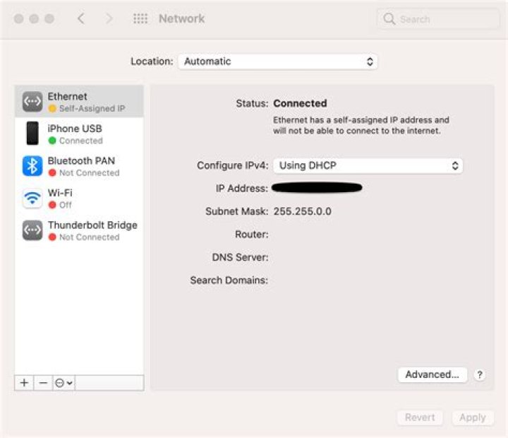 Why am I getting a self assigned IP address?