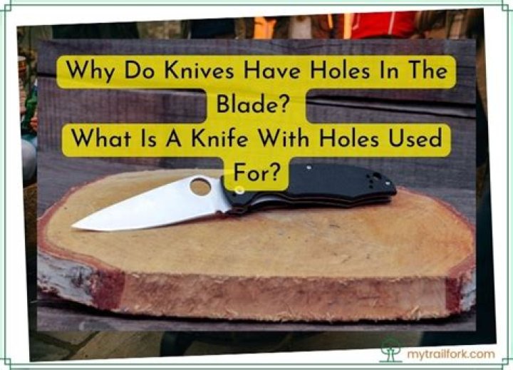 Why do butcher knives have holes?