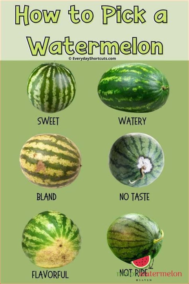 Why do you tap on a watermelon?