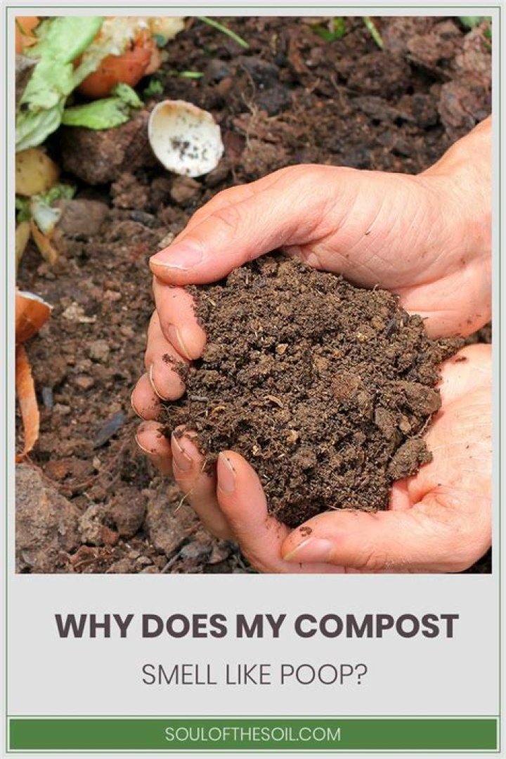 Why does my compost smell like manure?