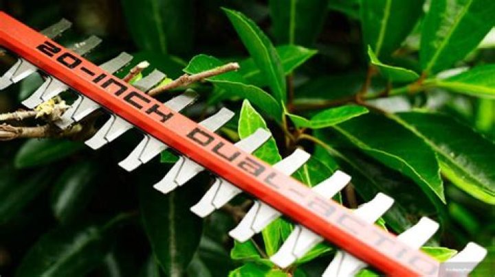 Why does my petrol hedge trimmer keeps cutting out?