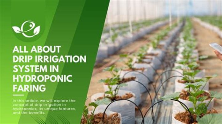 Why is drip irrigation is the best method of watering plants?