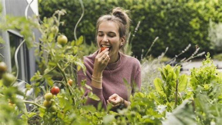 Why is gardening interesting?