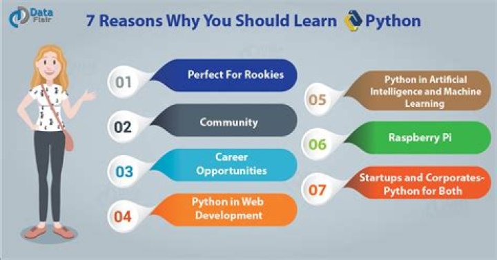 Why is it important to learn Python?