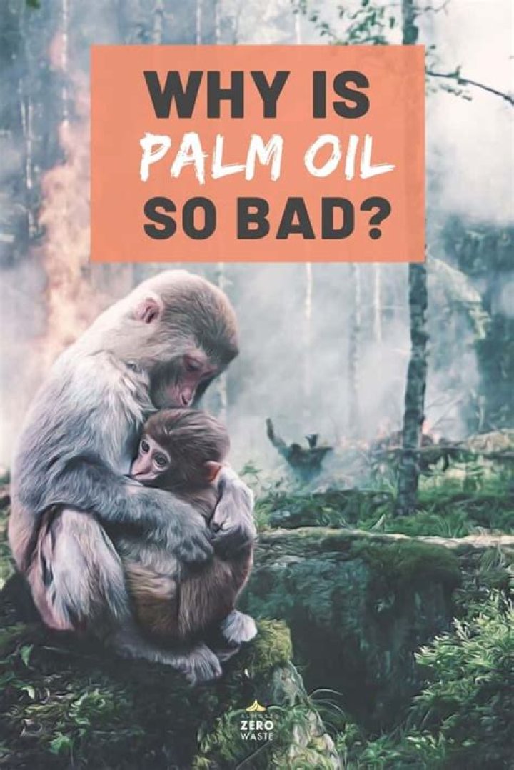 Why is palm oil bad for monkeys?