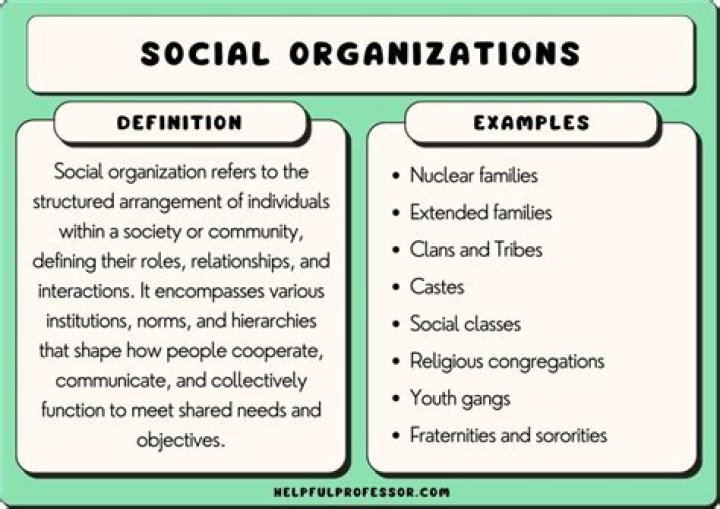 Why is social organization important?
