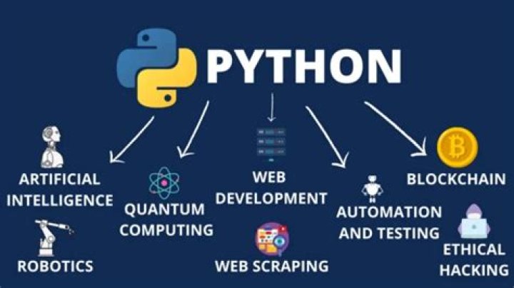 Why Python is so popular?