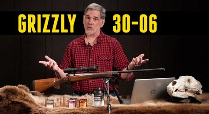 Will a 308 kill a grizzly bear?
