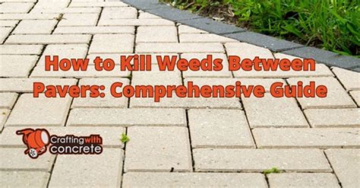 Will vinegar kill weeds between pavers?